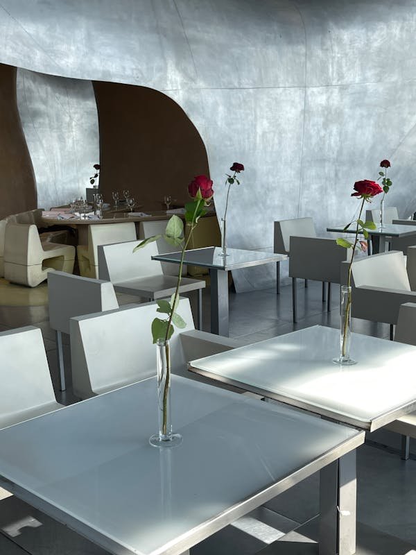 10 couleurs bénéfiques pour améliorer le bien-être des seniors